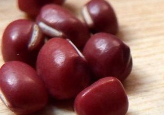 赤豆是什么豆？赤豆是紅豆嗎