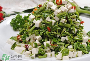 香椿可以助孕嗎？香椿有助孕的功效嗎？