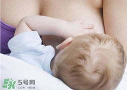 香椿會(huì)回奶嗎？吃香椿會(huì)回奶嗎？