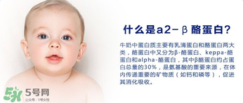 A2奶粉分幾種？A2奶粉有幾個(gè)種類？