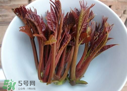 香椿和雞肉可同吃嗎？香椿和雞肉能一起吃嗎？