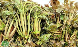 香椿和平菇能一起吃嗎？香椿和香菇能一起吃嗎？