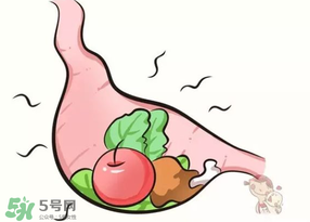 吃香椿會(huì)上火嗎？香椿吃多了會(huì)上火嗎？