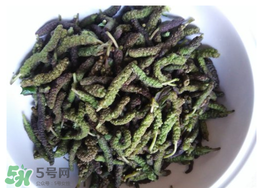 蒸構(gòu)樹花兒孕婦可以吃嗎？孕婦可以吃蒸構(gòu)樹花兒嗎？