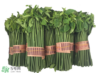 樹仔菜有毒嗎？樹仔菜有沒有毒？