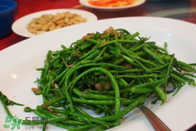樹仔菜有毒嗎？樹仔菜有沒有毒？