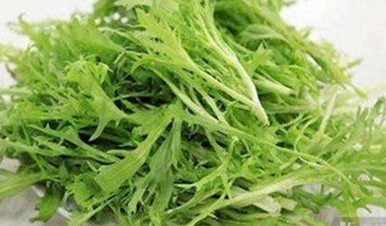 苦苣菜能生吃嗎？苦苣菜可以生吃嗎