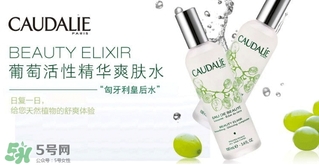 歐緹麗和悅木之源哪個(gè)好？歐緹麗皇后水和悅木之源菌菇水