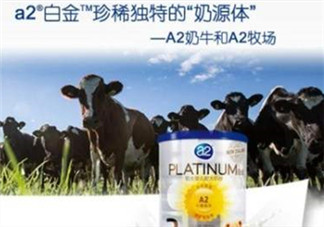 A2奶粉分白金和鉑金嗎？A2奶粉白金鉑金有區(qū)別嗎？