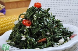 苦菜對(duì)人有什么好處？苦菜有什么功效