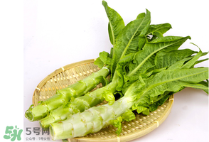 萵筍能放冰箱嗎？萵筍放冰箱能吃嗎？