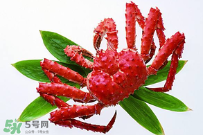 香椿能和海鮮一起吃嗎？香椿和海鮮能一起吃嗎？