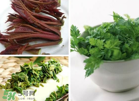 香椿和香菜能一起吃嗎？香椿和香菜怎么做？