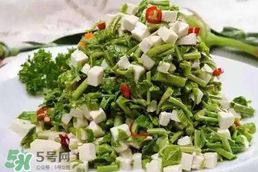 香椿和芹菜能一起吃嗎？香椿可以和芹菜同吃嗎？