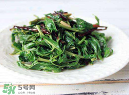 香椿和芹菜能一起吃嗎？香椿可以和芹菜同吃嗎？