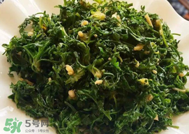 薺菜和香椿能一起吃嗎？薺菜和香椿一起吃好嗎？