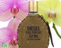 diesel迪塞爾是什么牌子？diesel是哪個(gè)國家的？
