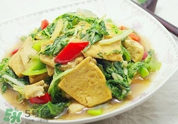 苦菊能和豆腐一起吃嗎？苦菊可以和豆腐一起吃嗎