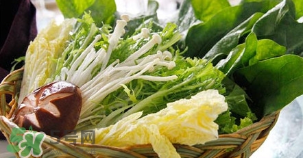 苦菊能涮火鍋吃嗎？苦菊可以涮火鍋嗎