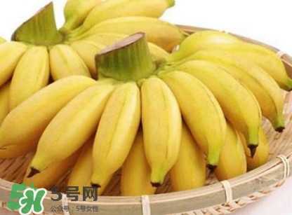 苦菊能和香蕉一起吃嗎？苦菊可以和香蕉一起吃嗎