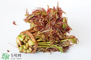 香椿樹什么時(shí)候發(fā)芽？香椿樹什么時(shí)候種植