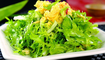 苦菊能和雞蛋一起吃嗎？苦菊可以和雞蛋一起吃嗎
