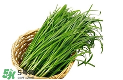 苦菊能和韭菜一起吃嗎？苦菊可以和韭菜一起吃嗎