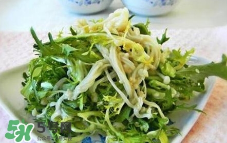 苦菊用不用焯水？涼拌苦菊用開水焯水嗎