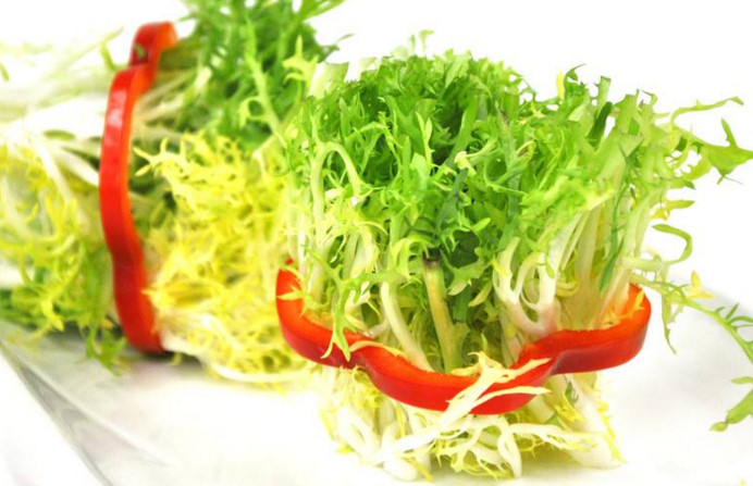 苦菊和什么相克？苦菊不能和什么同吃