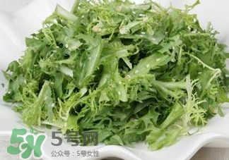 苦菊吃多了好嗎？苦菊吃多了好不