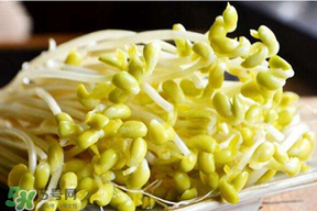 香椿和豆芽能一起吃嗎？香椿豆芽的做法大全