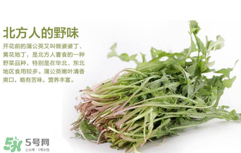 婆婆丁不能與什么同食？婆婆丁不能和什么一起吃？