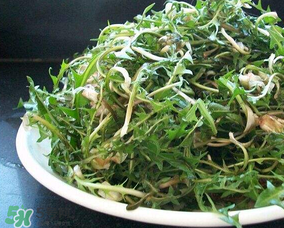婆婆丁怎么吃？婆婆丁怎么吃最好？