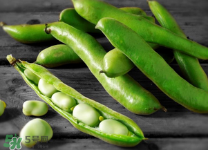 蠶豆什么時候成熟？蠶豆什么時候上市？