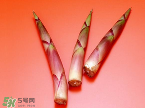 竹筍什么人不能吃？哪些人不適合吃竹筍？