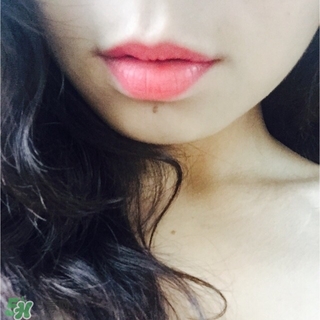 ellegirl愛爾甜心口紅怎么樣？ellegirl口紅色號試色