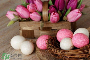 復(fù)活節(jié)怎么過？復(fù)活節(jié)可以做什么？