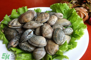花甲不開口怎么辦？怎么讓花甲開口？