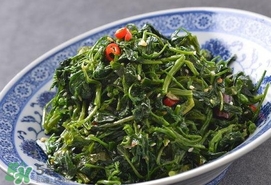 灰灰菜有什么功效？灰灰菜的功效與作用