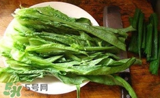 萵苣葉是什么？生菜是不是萵苣葉子