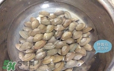芒果螺怎么清洗？芒果螺怎么吃