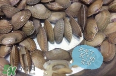 芒果螺怎么清洗？芒果螺怎么吃