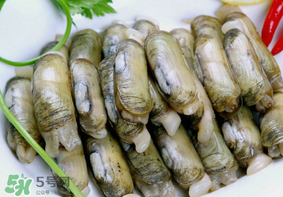 蟶子不能和什么一起吃？蟶子和什么不能一起吃？
