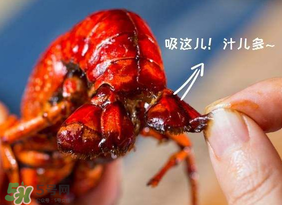 吃油燜大蝦會胖嗎？油燜大蝦的熱量是多少？