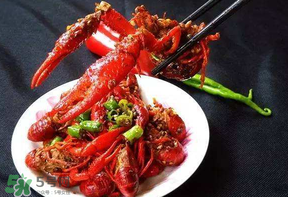 龍蝦什么時候上市？龍蝦幾月份上市？