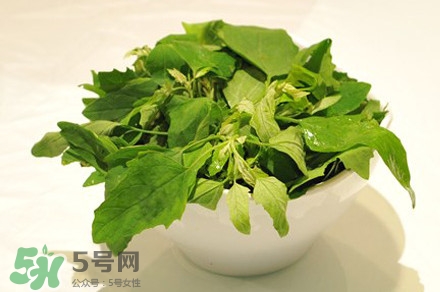灰灰菜有什么功效？灰灰菜有什么營(yíng)養(yǎng)價(jià)值