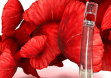 kenzo香水一枝花多少錢？kenzo一枝花香水怎么樣價(jià)格