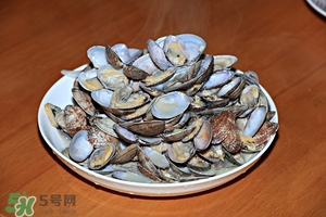 芒果螺怎么清洗？芒果螺怎么吃