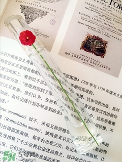kenzo香水一枝花多少錢？kenzo一枝花香水怎么樣價格