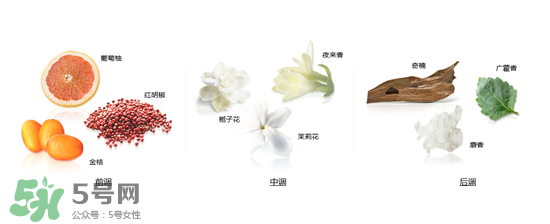 郎朗香水是什么牌子？郎朗香水是什么檔次？